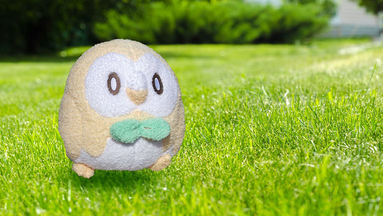 【朗報】今年の流行語、ほぼポケモン